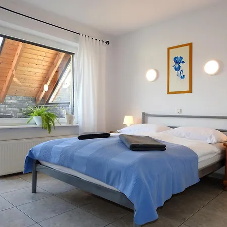 Elizabeth - Goscinne Guest house *